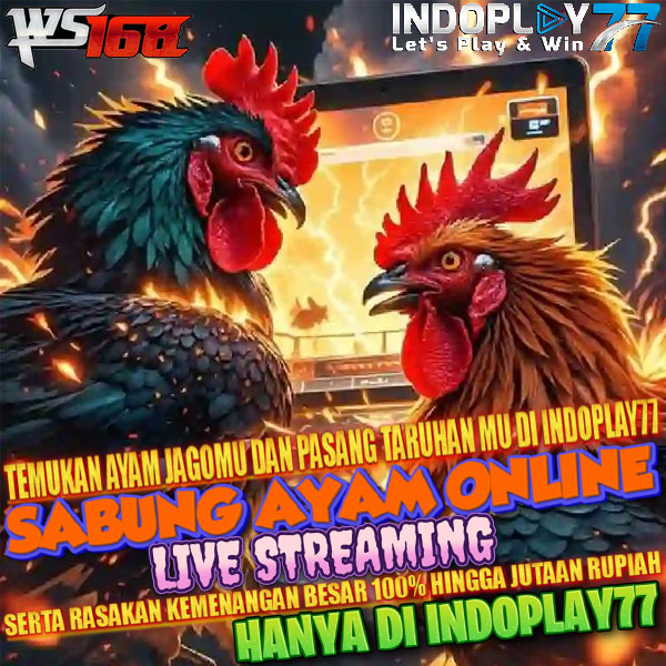 INDOPLAY77 & WS168🔥Situs Live Wala Meron Terpercaya Sabung Ayam Online 24 Jam - WooCommerce eCommerce